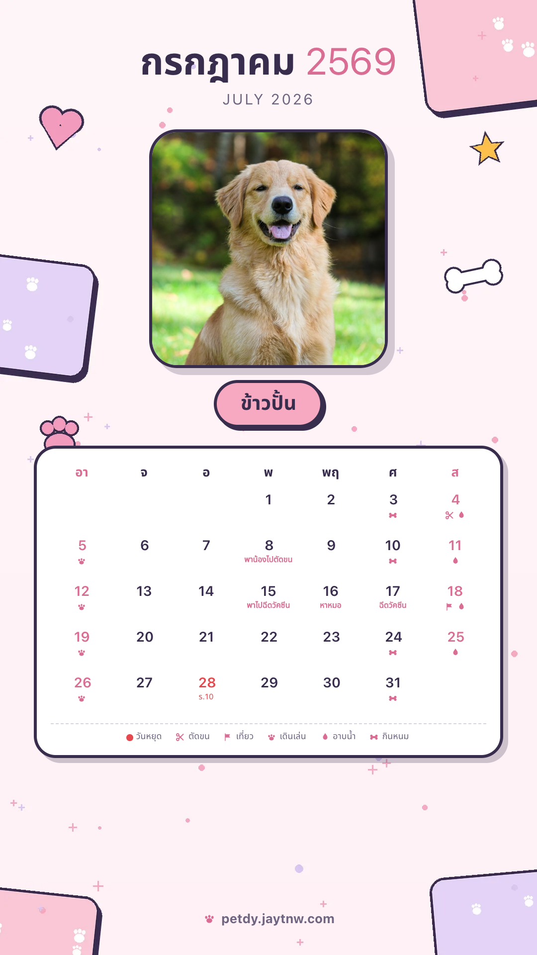 ภาพปฏิทินน้องลายเพ็ทดี้ชมพู ตั้งเป็น wallpaper มือถือ