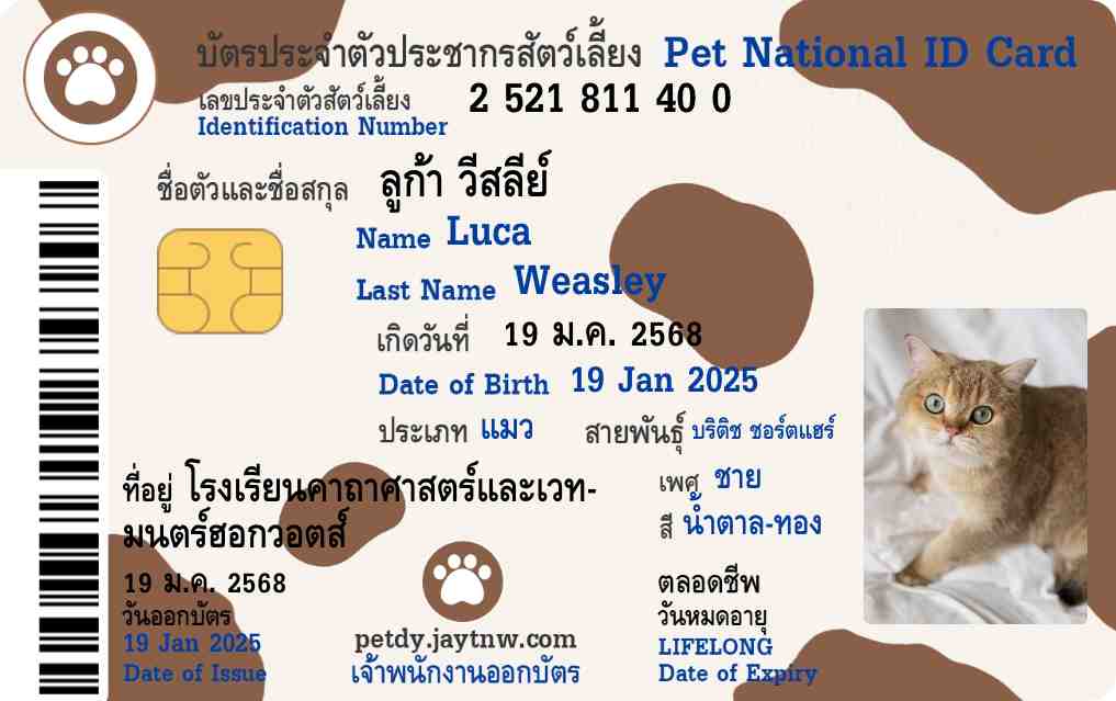 ตัวอย่างบัตรประชาชนสัตว์เลี้ยง Petdy แบบที่ 13
