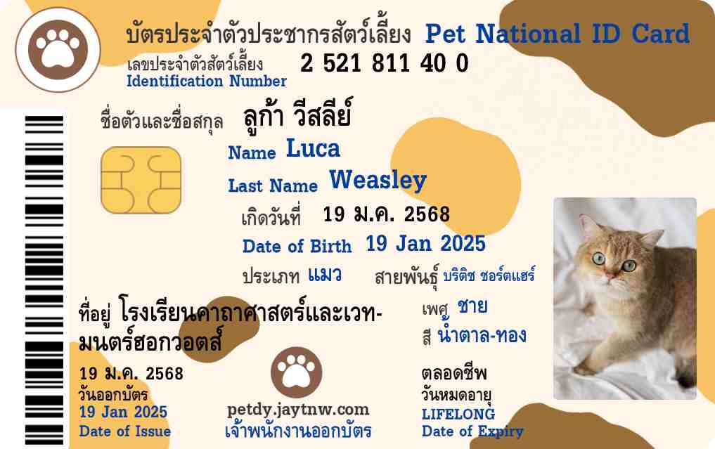 ตัวอย่างบัตรประชาชนสัตว์เลี้ยง Petdy แบบที่ 17