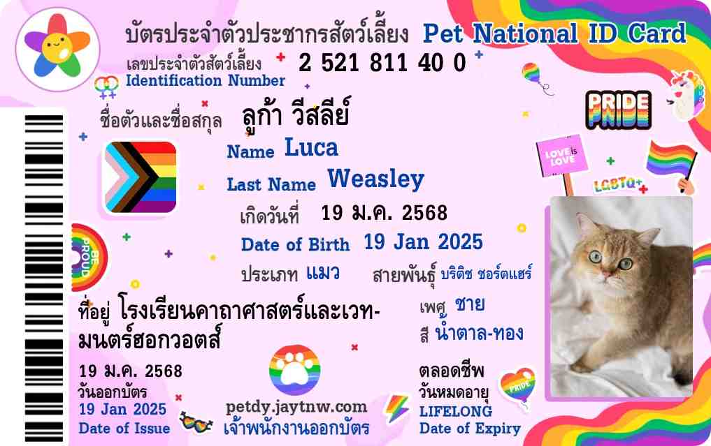 ตัวอย่างบัตรประชาชนสัตว์เลี้ยง Petdy แบบที่ 21