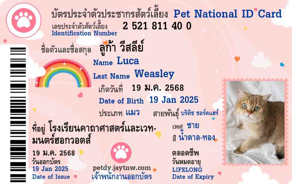 ตัวอย่างบัตรประชาชนสัตว์เลี้ยง Petdy แบบที่ 25