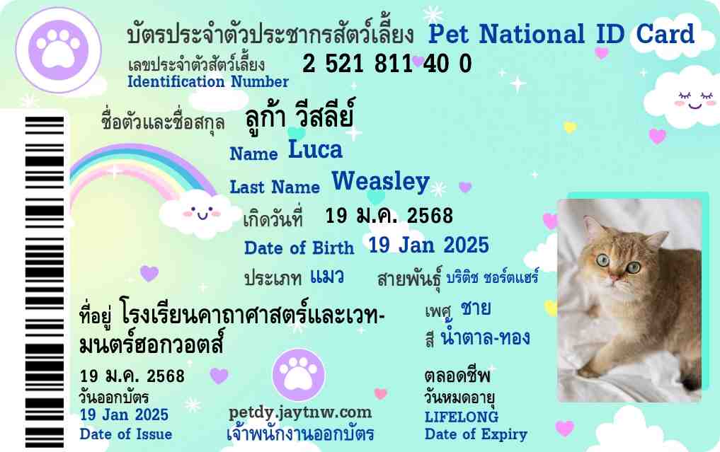 ตัวอย่างบัตรประชาชนสัตว์เลี้ยง Petdy แบบที่ 27