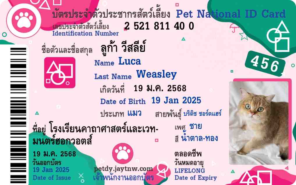 ตัวอย่างบัตรประชาชนสัตว์เลี้ยง Petdy แบบที่ 29