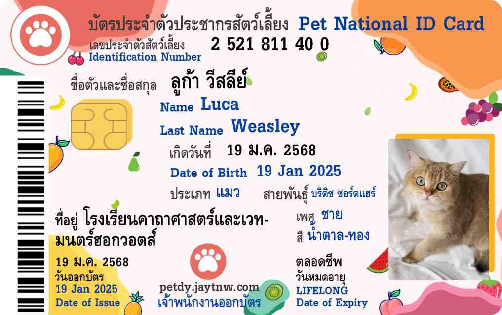 ตัวอย่างบัตรประชาชนสัตว์เลี้ยง Petdy แบบที่ 31