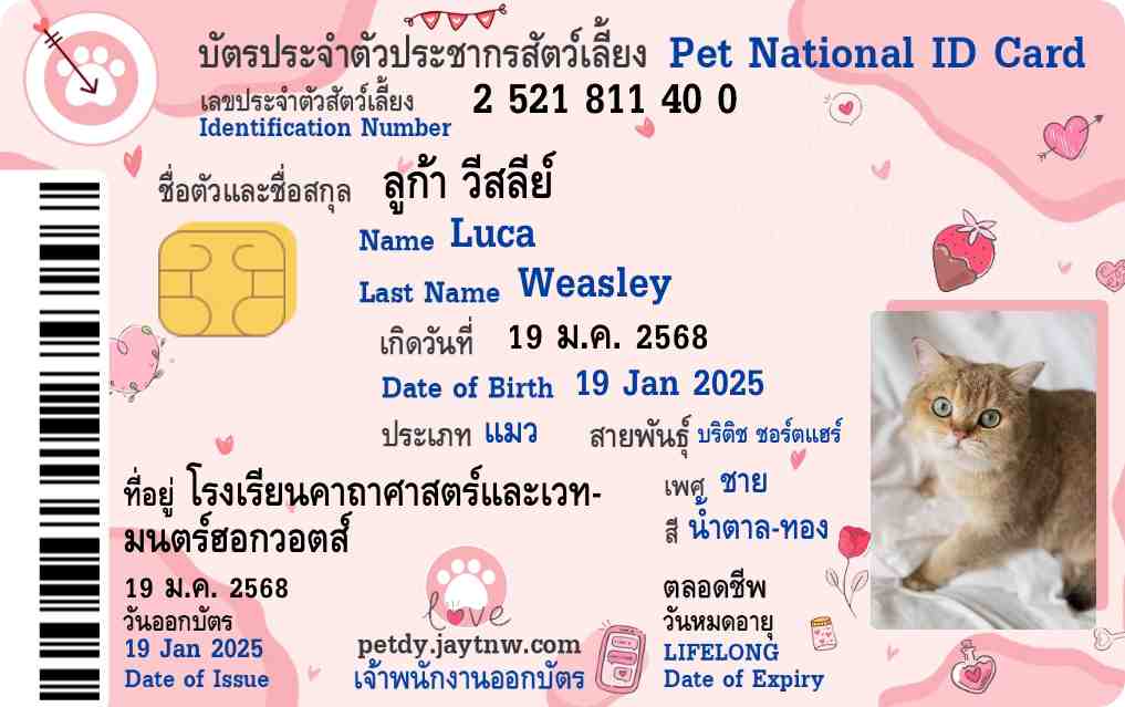 ตัวอย่างบัตรประชาชนสัตว์เลี้ยง Petdy แบบที่ 33