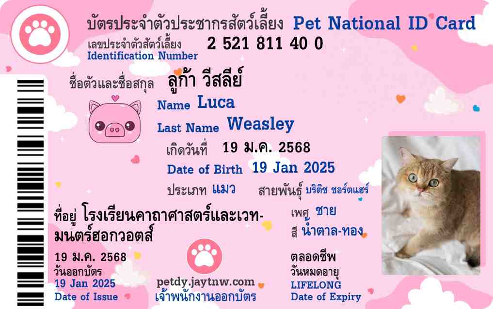 ตัวอย่างบัตรประชาชนสัตว์เลี้ยง Petdy แบบที่ 37