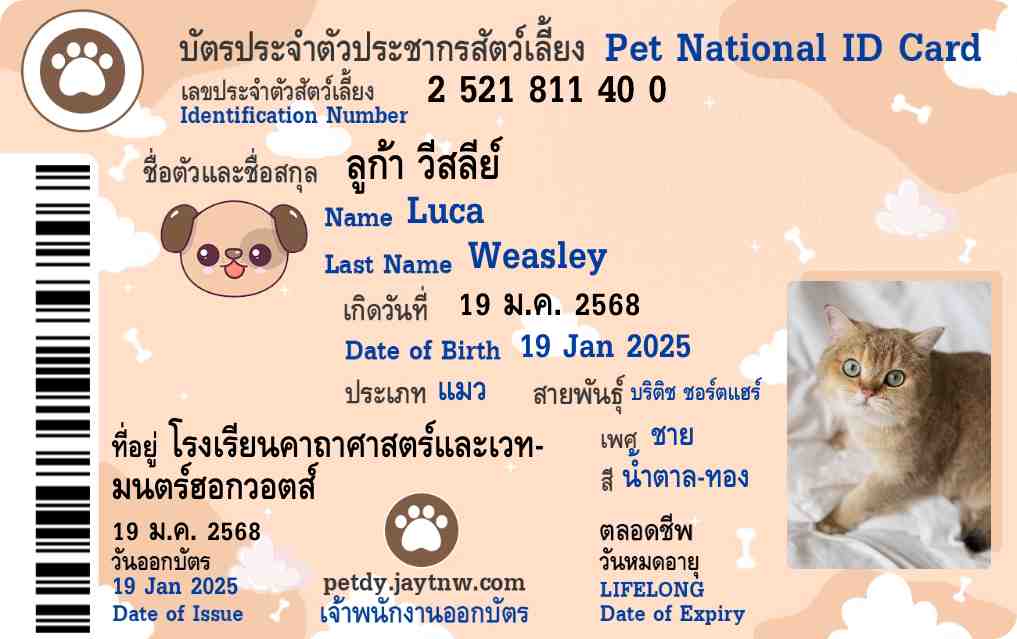 ตัวอย่างบัตรประชาชนสัตว์เลี้ยง Petdy แบบที่ 43