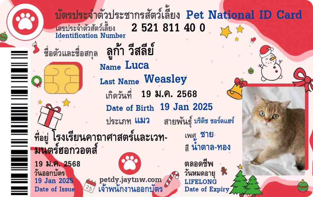 ตัวอย่างบัตรประชาชนสัตว์เลี้ยง Petdy แบบที่ 45