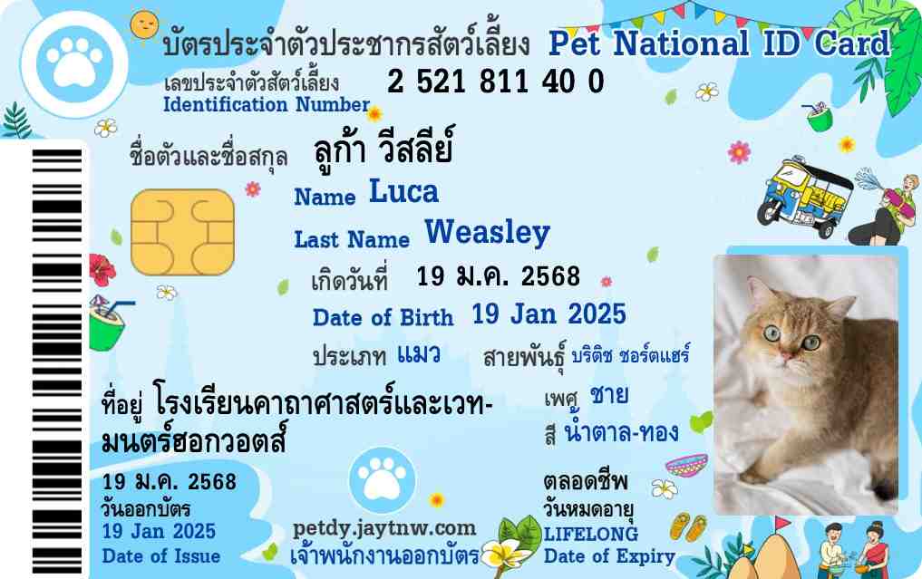 ตัวอย่างบัตรประชาชนสัตว์เลี้ยง Petdy แบบที่ 47