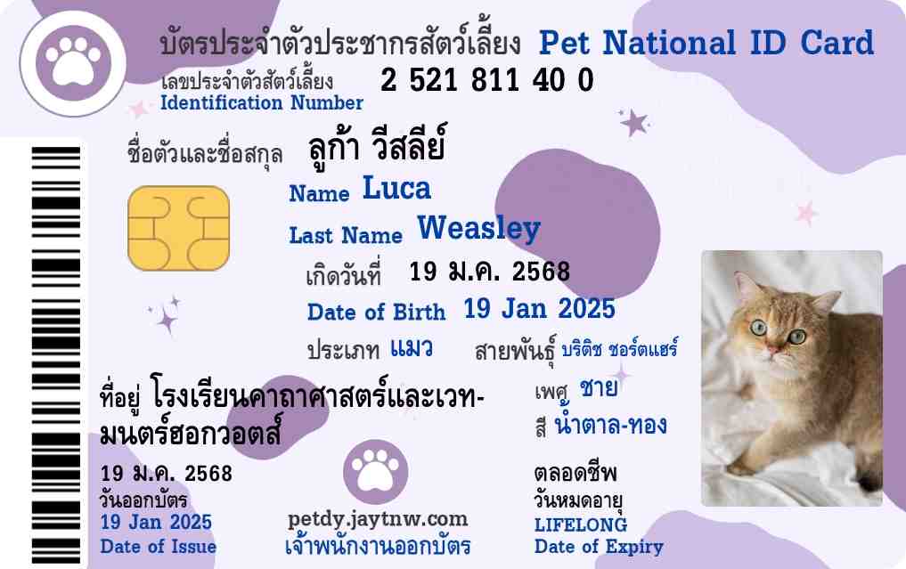 ตัวอย่างบัตรประชาชนสัตว์เลี้ยง Petdy แบบที่ 49