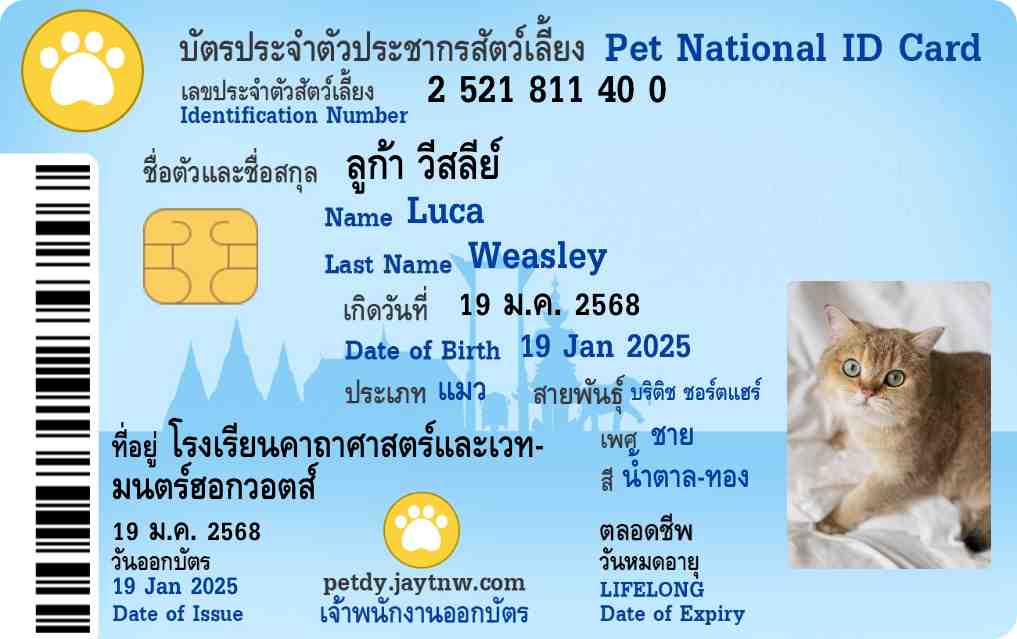 ตัวอย่างบัตรประชาชนสัตว์เลี้ยง Petdy แบบที่ 5