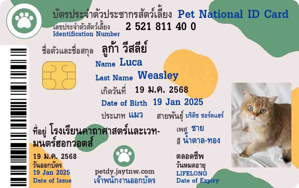 ตัวอย่างบัตรประชาชนสัตว์เลี้ยง Petdy แบบที่ 51