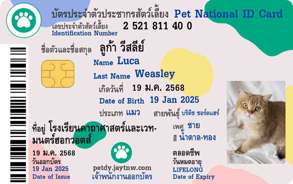 ตัวอย่างบัตรประชาชนสัตว์เลี้ยง Petdy แบบที่ 53