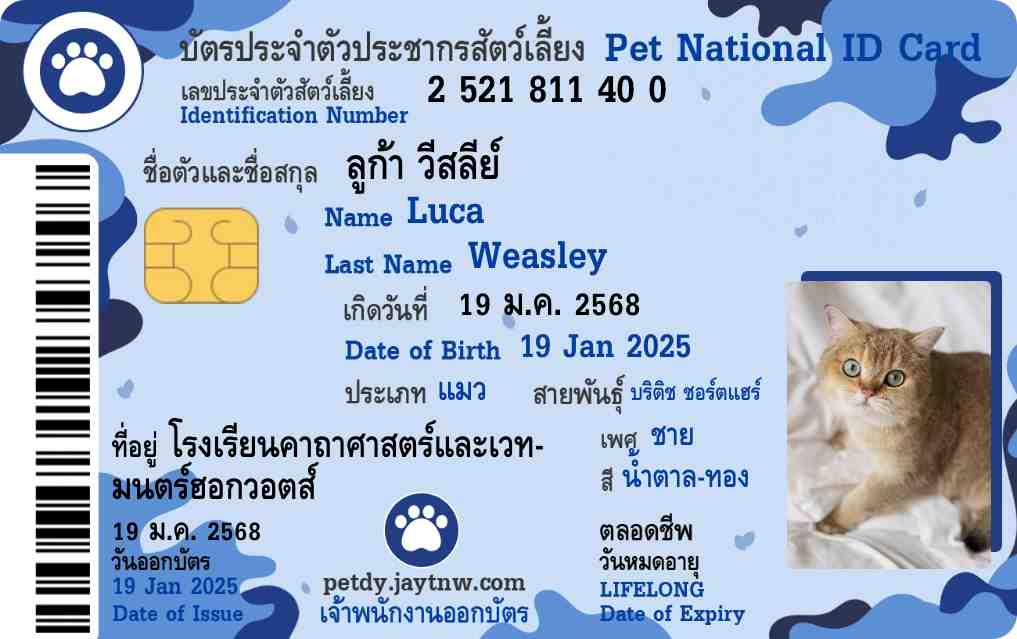 ตัวอย่างบัตรประชาชนสัตว์เลี้ยง Petdy แบบที่ 59