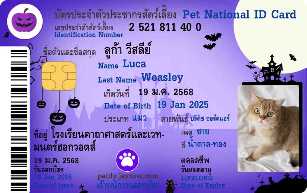 ตัวอย่างบัตรประชาชนสัตว์เลี้ยง Petdy แบบที่ 65