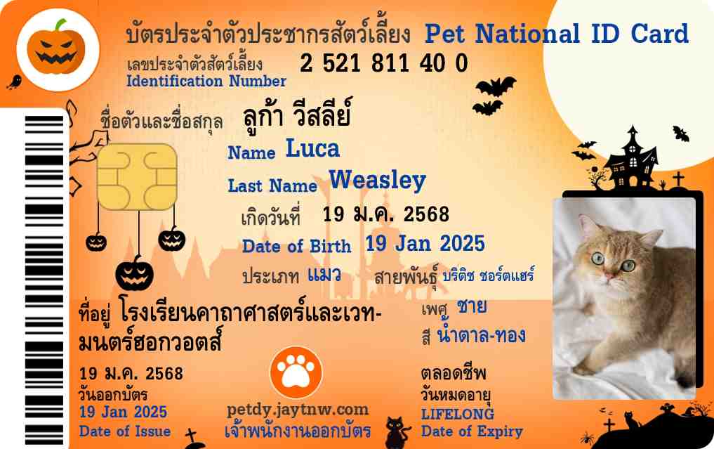 ตัวอย่างบัตรประชาชนสัตว์เลี้ยง Petdy แบบที่ 67
