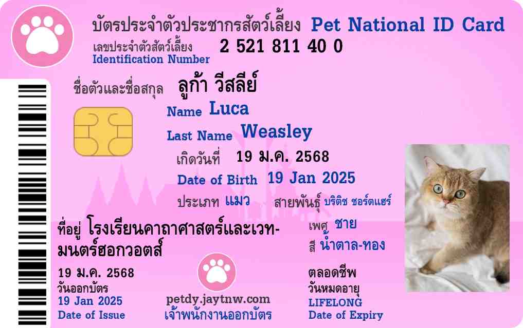 ตัวอย่างบัตรประชาชนสัตว์เลี้ยง Petdy แบบที่ 7