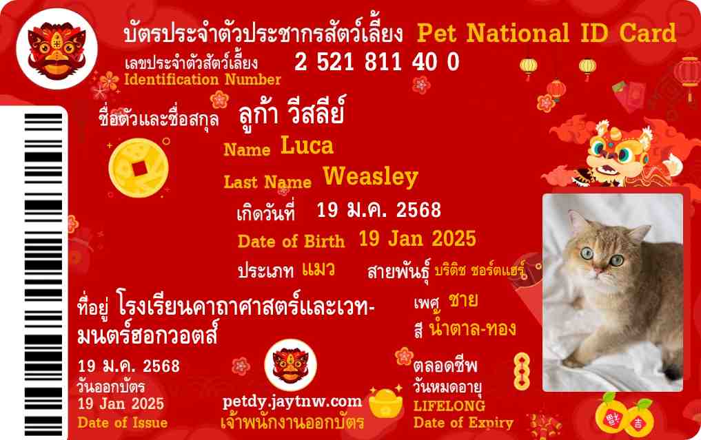 ตัวอย่างบัตรประชาชนสัตว์เลี้ยง Petdy แบบที่ 71