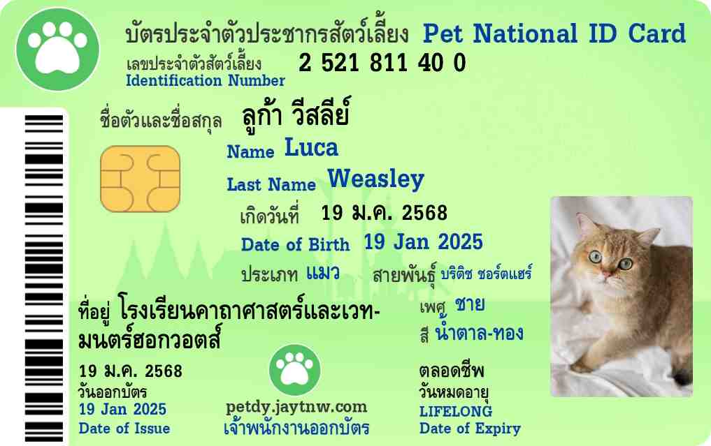 ตัวอย่างบัตรประชาชนสัตว์เลี้ยง Petdy แบบที่ 9