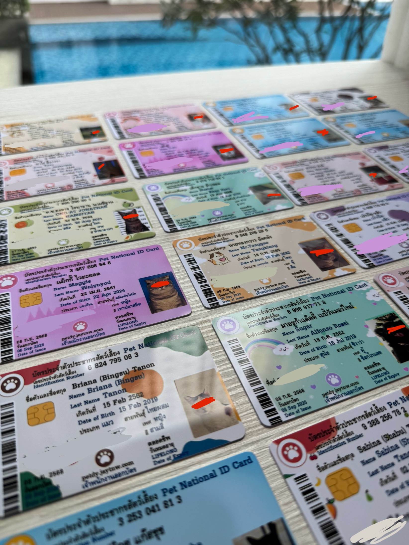 Customer Card Example 1