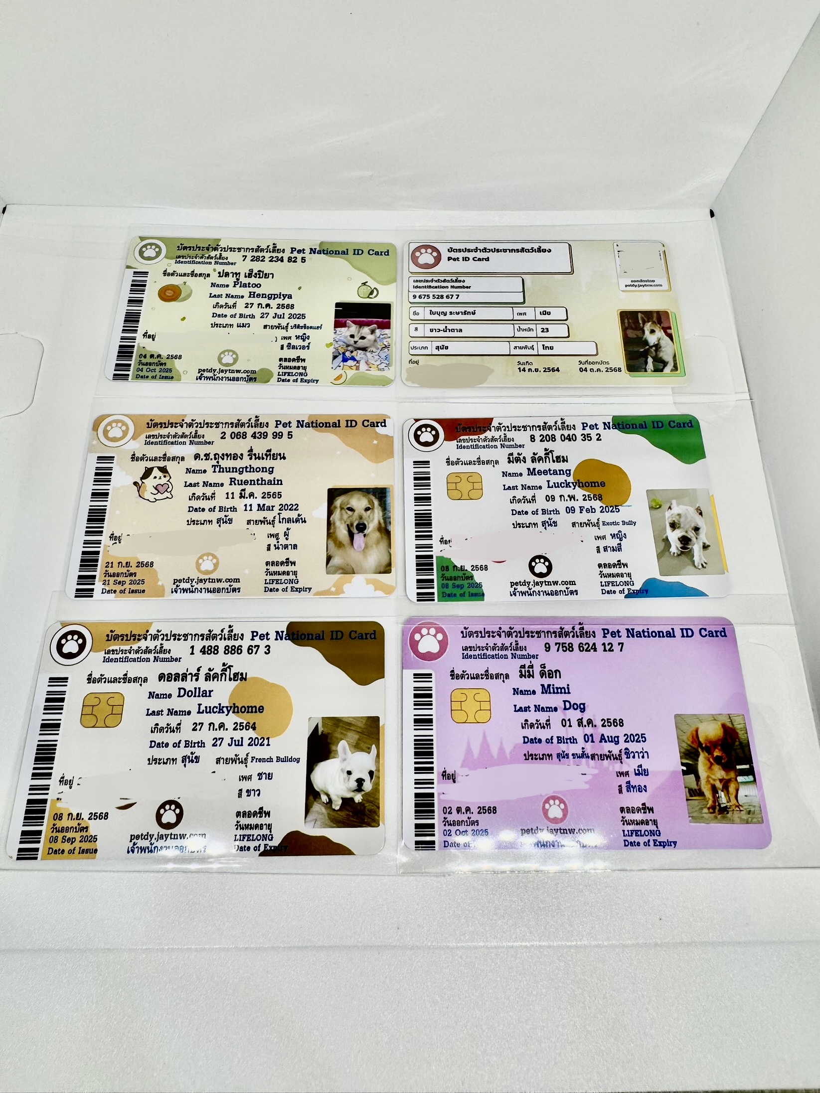 Customer Card Example 4