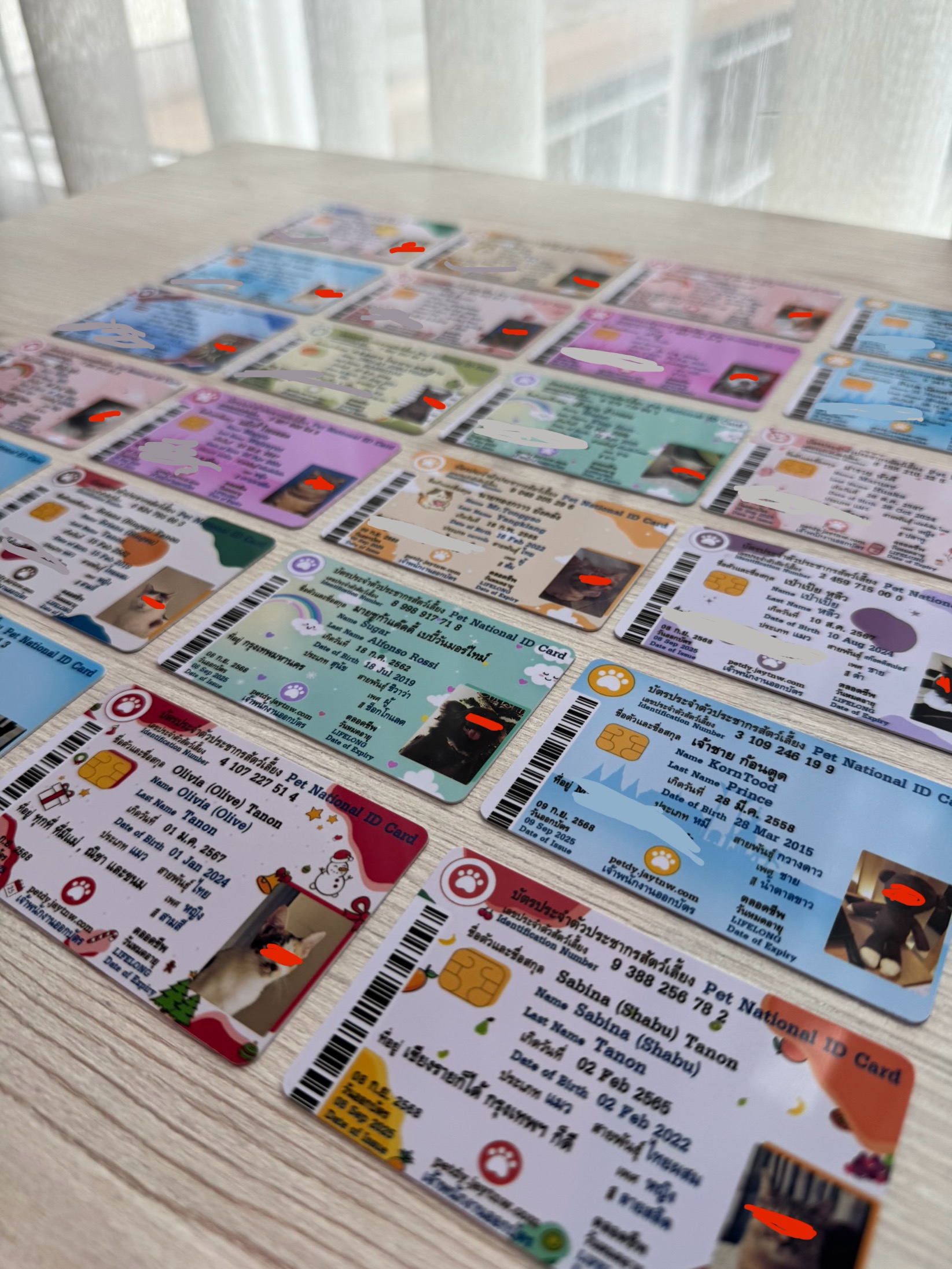 Customer Card Example 6